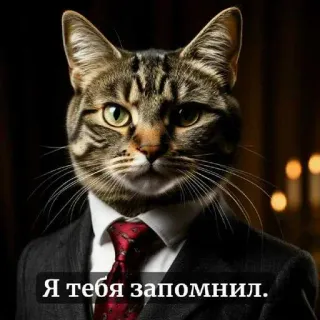 Больше стиков тут: @stikery4 telegram stickers