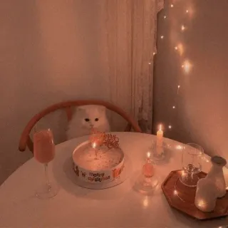 🐈 kat, taart, verjaardag, kaarsen, schattig, esthetisch, feest telegram sticker