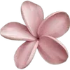 nya ➜ @emoji1 telegram emojis 🪷