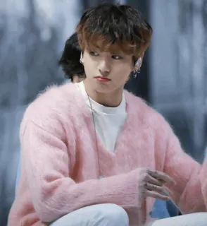 🐰 kpop, penyanyi, idola, merah muda, sweter, korea, jeon jungkook telegram sticker