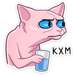 🤨 KXM cat, drinking, hairless cat, sphinx cat, meme, funny telegram sticker