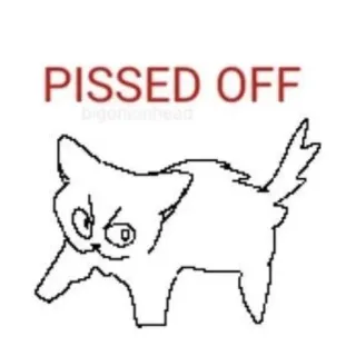 😾 PISSED OFF mèo, tức giận, meme, bực mình, hài hước, động vật telegram sticker