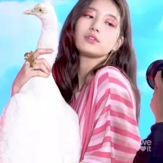 bae suzy @CIGARDEVIL telegram stickers