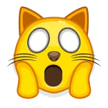 🙀