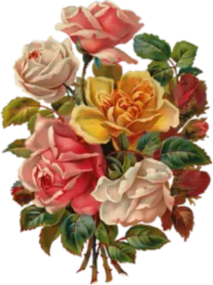 🌸 hoa, hoa hồng, bó hoa, cổ điển, hoa telegram sticker