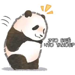 🧐 ЭТО ЕЩЁ
ЧТО ТАКОЕ? 熊猫, 动物, 可爱, 贴纸 telegram sticker