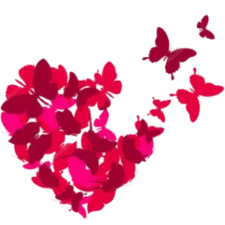 ❤️ mariposa, corazón, amor, rosa, mariposas, romance telegram sticker