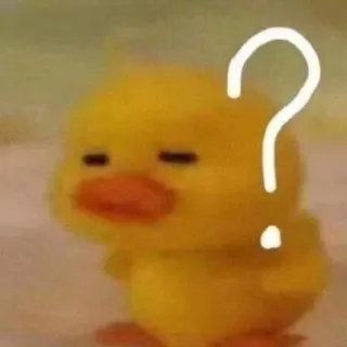 🦆 pato, ponto de interrogação, animal, fofo, pássaro whatsapp sticker
