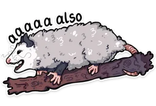😱 aaaaa also опоссум, животное, мультфильм, смешной, милый, мем whatsapp sticker