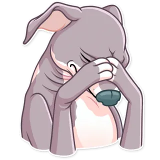 🤦‍♂️ หมา, เศร้า, โกรธ, การ์ตูน, สัตว์, อิโมจิ, สติกเกอร์, เทา whatsapp sticker