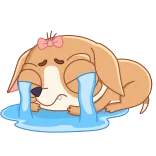 😭 Hund, weinen, traurig, Cartoon, Aufkleber, Emotion whatsapp sticker