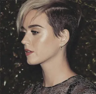 🏹 Katy Perry Katy Perry, penyanyi, selebriti, potret, wanita telegram sticker