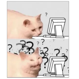👀 Katze, Computer, Fragezeichen, verwirrt, Meme, denkend telegram sticker