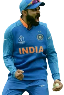 ❤️ INDIA cricket, sports, India, jersey, athlete, celebration telegram sticker