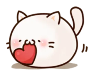 🐱 кот, сердце, милый, любовь, животное, каваий telegram sticker