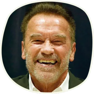 🤖 Schwarzenegger @lennysticker whatsapp stickers