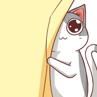 🐈 猫, 偷看, 可爱, 动物 whatsapp sticker