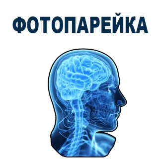 😉 ФОТОПАРЕЙКА brain, head, anatomy, russian, photopareyka telegram sticker