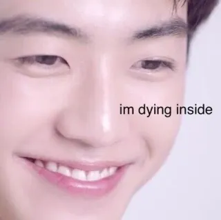 💛 im dying inside Мем, Эмоциональный, Лицо, Выражение, Грустный whatsapp sticker