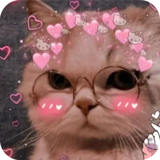 🤲 cat, hearts, cute, kawaii, animal, pet, glasses telegram sticker