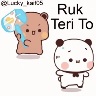 🤨 Ruk Teri To bear, cartoon, angry, playful whatsapp sticker