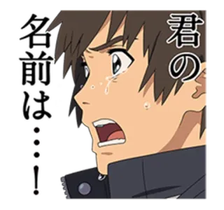 Your Name (Kimi no Na wa) telegram stickers