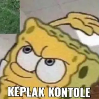 🏃 Spongebob KEPLAK KONTOLE bob esponja, meme, enojado, indonesio whatsapp sticker