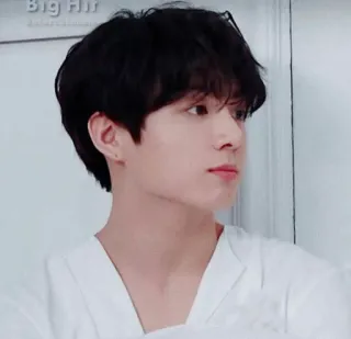 🕸 Big Hit Entertainment kpop, entertainment, music, artist telegram sticker
