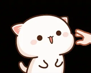 🩰 gatto, carino, animale, adesivo, animale domestico telegram sticker