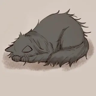 🐈 Katze, Kätzchen, schlafend, Tier, Haustier, süß, Hauskatze, Katzenartig telegram sticker