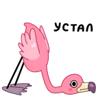 🥵 УСТАЛ flamingo, pássaro, desenho animado, cansado, russo telegram sticker