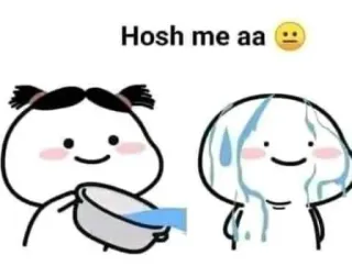 😂 Hosh me aa 😐 Cartoon, Meme, Wasser, Emotional, Ausdruck telegram sticker