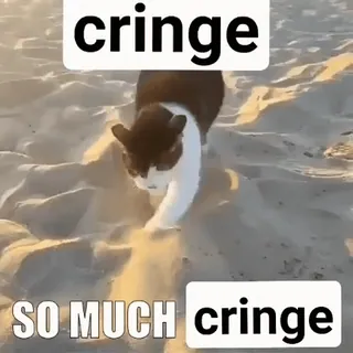 😳 cringe
SO MUCH cringe cat, cringe, meme, funny, animal, humor telegram sticker
