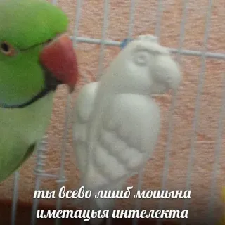 👾 ты всего лишь мошHа имитация интеллекта vogel, papegaai, kooi, huisdier, dier telegram sticker