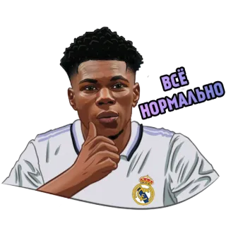 🌚 ВСЁ НОРМАЛЬНО bóng đá, bóng đá, thể thao, vận động viên, Real Madrid, ăn mừng telegram sticker