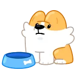 Corgi Life telegram stickers