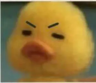 🐥 アヒル, 怒り, かわいい, 漫画, 動物 telegram sticker