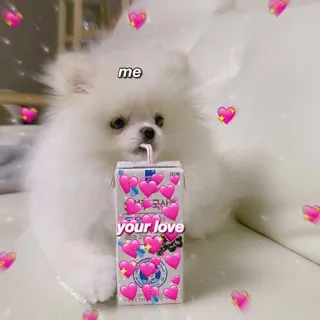 ❤️ me
your love chiot, amour, chien, mignon, coeurs, brique de lait, affection telegram sticker