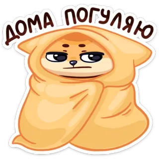 😴 ДОМА ПОГУЛЯЮ собака, плед, сонный, дом, мультфильм, ленивый, уютный telegram sticker