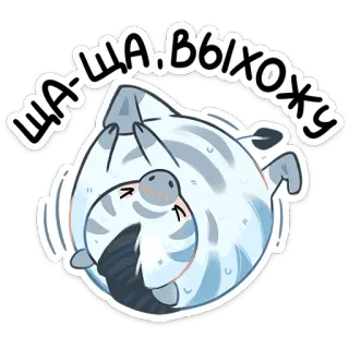 ⭐ ЩА.ВЫХОЖУ zebra, zwierzę, słodki, kreskówka, rosyjski whatsapp sticker