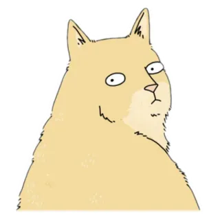 👀 gato, meme, animal, engraçado, derp, desenho animado telegram sticker
