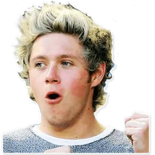 👍 Niall Horan Niall Horan, One Direction, Célébrité, Chanteur, Pop star, Sticker fan telegram sticker