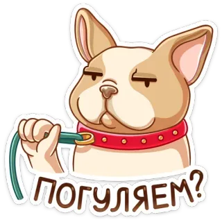 Булька :: @stickroom whatsapp stickers