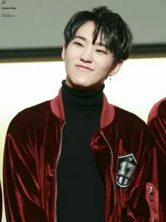 💡 Hoshi Kpop, Zanger, Bekende, Hoshi, Seventeen telegram sticker