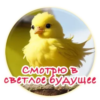 😵 смотрю в светлое будущее птица, желтый, будущее, смотрит, оптимизм, животное telegram sticker