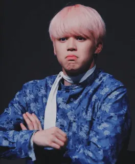 ☁️ pessoa, retrato, cabelo rosa, braços cruzados, camisa azul, coreano telegram sticker