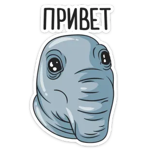 🤚 ПРИВЕТ greeting, cute, animal, cartoon, hello telegram sticker