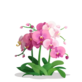 🪴 bloem, orchidee, plant, roze, natuur, bloei telegram sticker