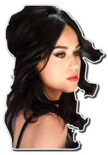 😌 Katy Perry 歌手, ポップ, 有名人, 女性, ポートレート telegram sticker