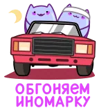 Экви от @TgSticker telegram stickers